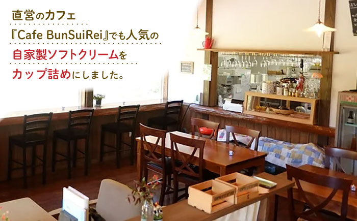 【全12回定期便】牧場の アイスクリーム セット ( 100g × 6個 ) カップ 熊本 山都町【山の未来舎】[YBV023]