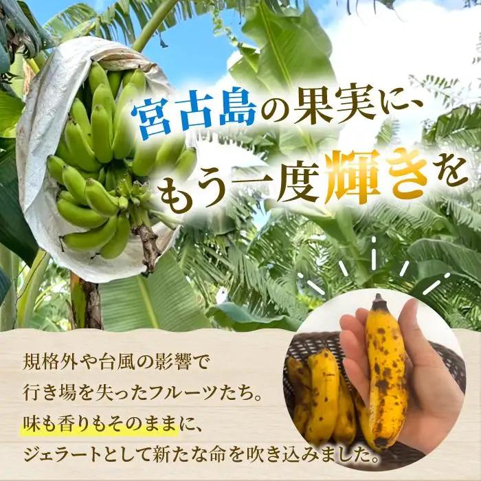 【宮古島産フルーツ使用】宮古島ジェラート 贅沢6種食べ比べセット（WK01）
