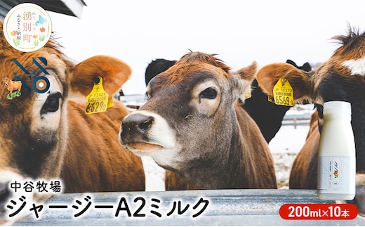 
										
										中谷牧場 ジャージー A2ミルク 200ml×10本 ジャージー牛 やさしい 国産 オホーツク 北海道
									
