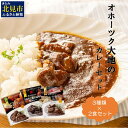 【ふるさと納税】オホーツク生まれの絶品カレー！オホーツク大地のカレーセット ( レトルト 加工品 カレー セット 詰め合わせ )