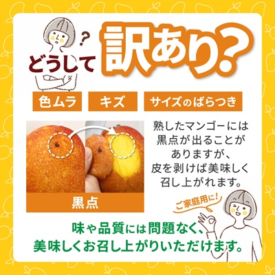【2026年6月下旬から順次発送・訳あり】今帰仁産のアップルマンゴー1kg(2～4玉)【配送不可地域：離島】