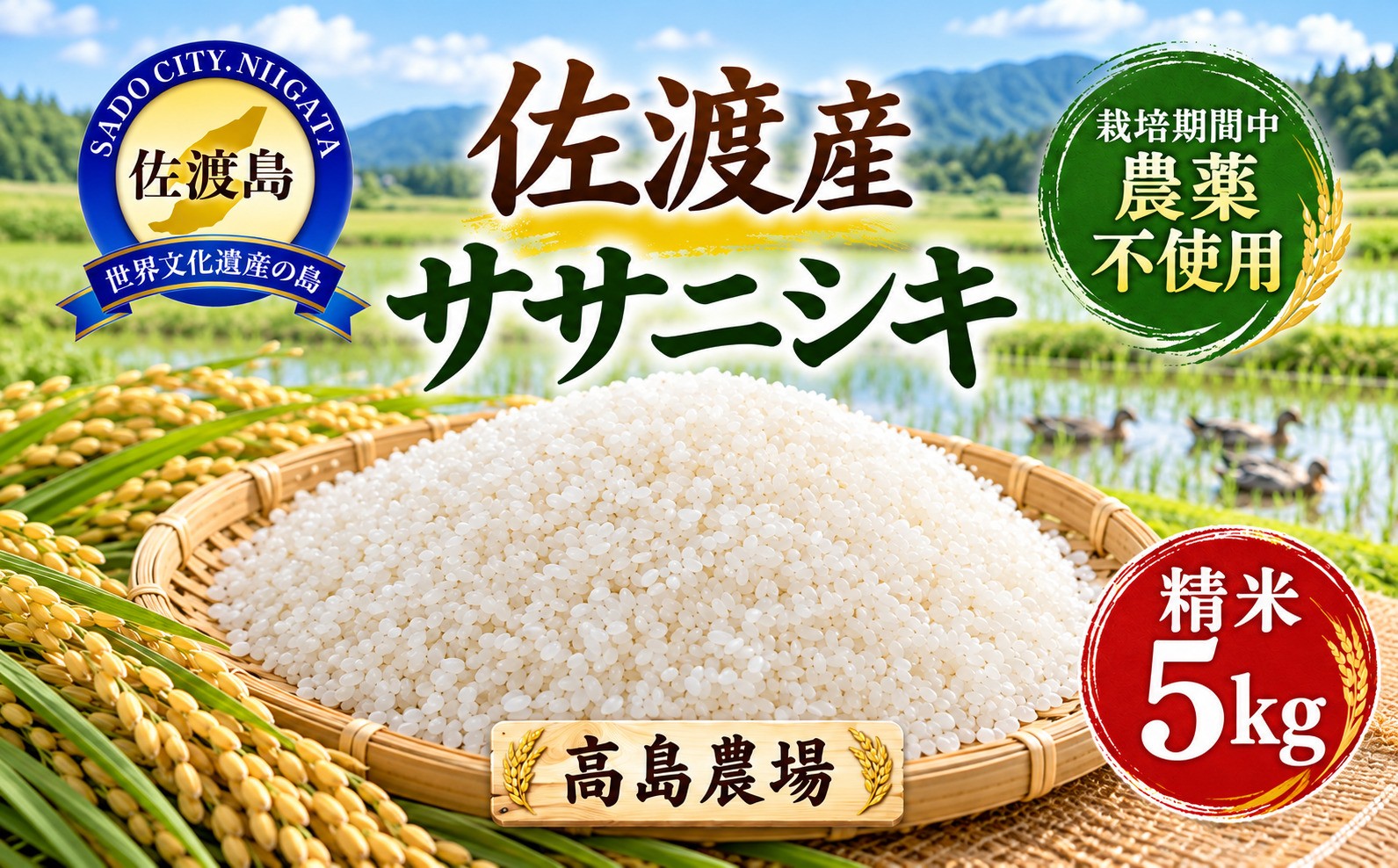 
                  【令和8年産】佐渡産ササニシキ 精米5kg 栽培期間中 農薬不使用 高島農場 | 新潟県産ササニシキ 新潟産ササニシキ 佐渡産ササニシキ ささにしき ササニシキ お米 米 白米 精米 おこめ コメ 5キロ あっさり 農家直送 にいがた さど 新潟県 佐渡市 新潟県産ササニシキ 新潟産ササニシキ 佐渡産ササニシキ ささにしき ササニシキ 新潟県産ササニシキ 新潟産ササニシキ 佐渡産ササニシキ
                