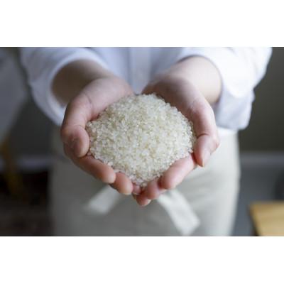 ふるさと納税 三沢市 【毎月定期便】青森県産　まっしぐら　白米10kg全6回 |  | 01