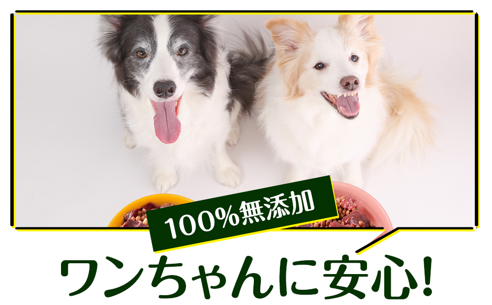 犬 おやつ 鹿肉 冷凍エゾシカ生肉 2kg （200g✕10パック）