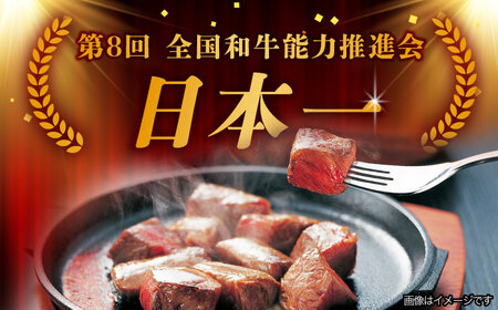 【10月発送】飛騨牛 サイコロステーキ 部位おまかせ 500g A5等級 和牛 ブランド牛 国産 牛肉 多治見市 / 渡辺精肉店 [TAZ038-10]