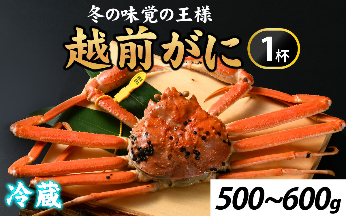 
            先行予約冬の王者！茹で越前がに500-600g　１杯【11月中旬より順次発送、年末年始対応不可】[G-065037] 【市場直送】 / かに 蟹 ずわい ズワイ 茹でがに 送料無料
          