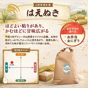 はえぬき 玄米 計10kg 5kg×2袋 令和7年産米 山形県遊佐町産 東北 山形県 遊佐町 庄内地方 米 お米 庄内米 ブランド米 ご飯 ごはん [1445R07]