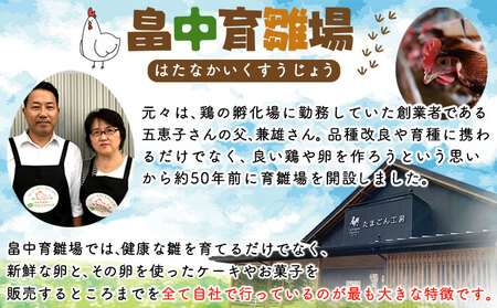 特選卵とカステラの詰め合わせB《30日以内に出荷予定(土日祝除く)》福岡県 鞍手郡 小竹町 卵 カステラ かすてら 詰め合わせ 送料無料 有限会社畠中育雛場