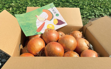 【9月発送】サラダにもOK！特別栽培玉ねぎ10kg