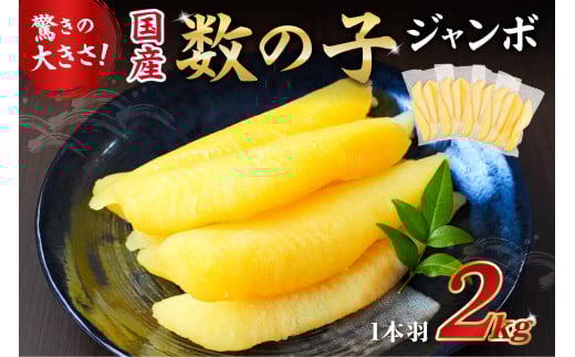 国産　塩数の子ジャンボ(北海道産）　1本羽　2kg　小分け（500g×4袋） mi0012-0071 【数の子 ニシン ジャンボサイズ 海産物 魚卵 レシピ同封 お正月 おせち料理】