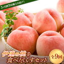 【ふるさと納税】定期便 福島県産 伊達の桃を食べ尽くすセット 全9回 各約2kg 7月上旬頃から順次発送 伊達の桃 はつひめ ふくあかり あかつき まどか おどろき 川中島白桃 黄貴妃 ゆうぞら さくら白桃 桃 白桃 もも モモ 果物 くだもの フルーツ 国産 名産 食品 F20C-632