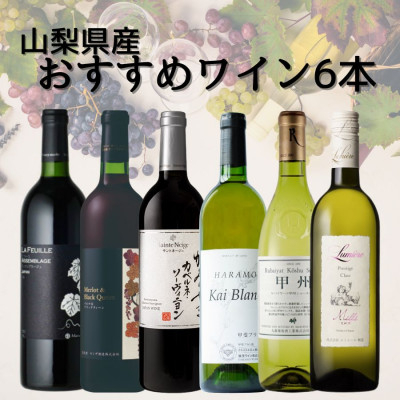 
            山梨県産ワインおすすめ赤白6本セット(3)010【1606813】
          