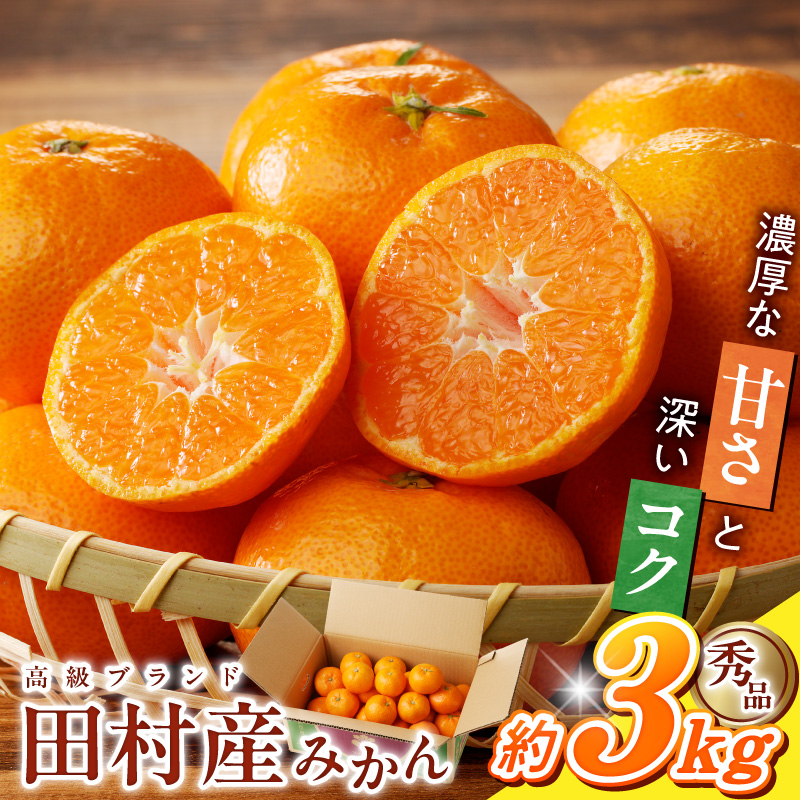 G7339_【2026年11月下旬頃より発送】高級ブランド 秀品 紀州有