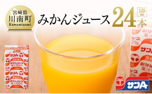 サンAみかんジュース100%　125ml紙パック×24本 【 ふるさと納税 飲料 ジュース みかん ミカン 温州みかん 紙パック 送料無料 】 [C03025]