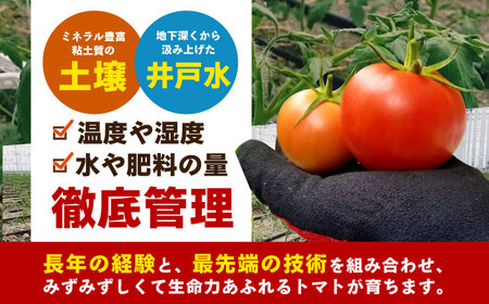 【1～4月発送】 訳あり トマト （カレン） 2kg 【にしやまファーム】[HDI001]