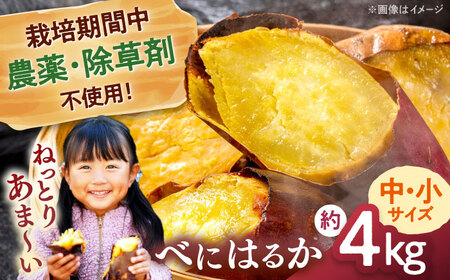 合鴨家族古野農場さつまいも（紅はるか）4kg 桂川町 [ADAL016] 焼き芋 サツマイモ 産地直送