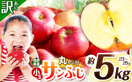 訳あり サンフジ 丸かじりSSサイズ 約5kg 【2026年先行予約】  | 浅野農園
