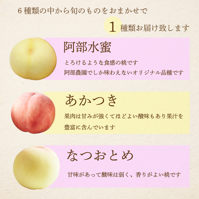 阿部農園 おまかせ 桃 約1.3kg 《2025年７月下旬から順次発送》 フルーツ 果物 くだもの 果実 夏 旬のフルーツ 旬の果物 もも モモ ピーチ 食品 オリジナル品種 阿部水蜜 あかつき 白鳳 はくほう なつおとめ みさか白鳳 白麗 広島県 三原市 216001