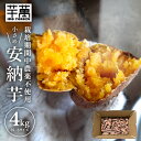 【ふるさと納税】安納芋 小さめ SS～Sサイズ 4kg 栽培期間中農薬不使用 山形県酒田産 ※着日指定不可 ねっとり しっとり さつまいも ブランド芋 冬 国産 無農薬 芋萬