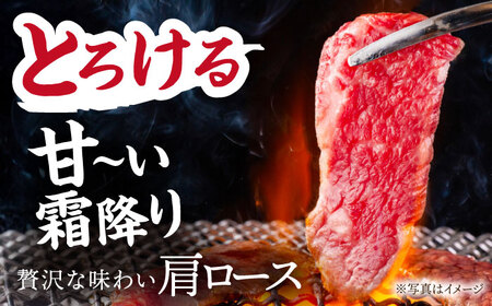 飛騨牛 肩ロース 500g [TDC005] 和牛 肩ロース