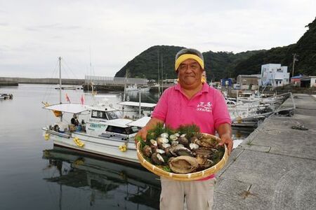 【数量限定】佐田岬海士の黒赤あわび【4/15～10/25の漁解禁日に合わせて発送】※北海道・東北地方・沖縄・離島への配送不可 【 あわび アワビ 鮑 黒あわび 赤あわび 】 IKTJ014
