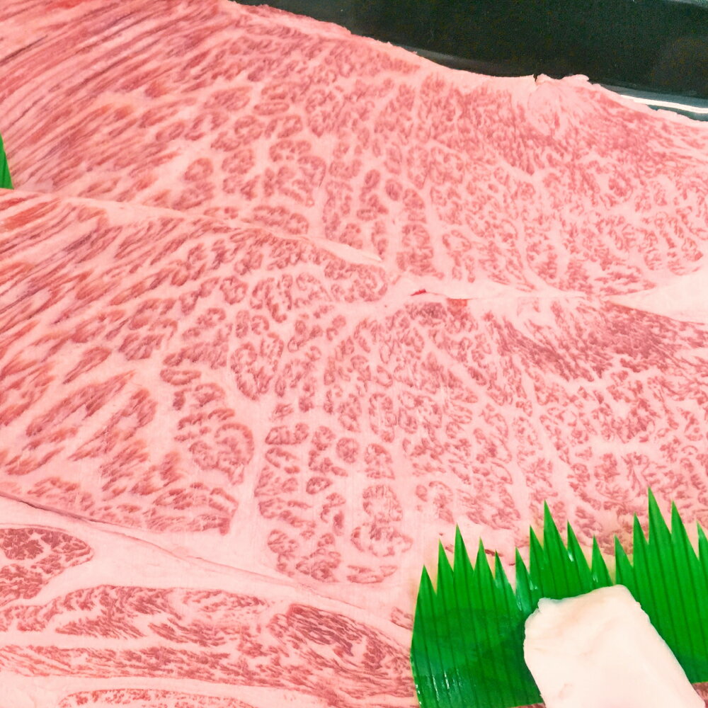 【ふるさと納税】愛媛県産 黒毛和牛 雌牛 いしづち牛 肩ロース 焼肉用〈選べる〉500g～2.1kg 牛肉 お肉 肉 牛肩 ロース 焼肉 やきにく BBQ 和牛 霜降り 冷凍 国産 四国 愛媛県 送料無料 (664)(665)(666)(667)(668)