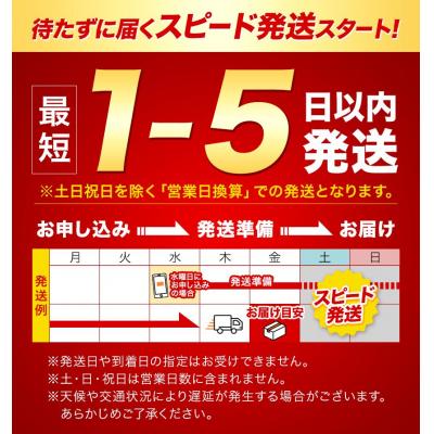 ふるさと納税 笠岡市 最短翌日発送! 晴れの国おかやま無洗米 5kg 米《1-5営業日以内に出荷予定(土日祝除く)》 |  | 01