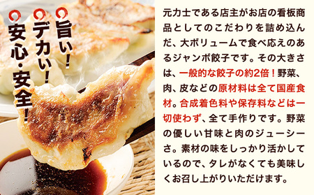 餃子 どすこい餃子 冷凍 60個 浜あげ吉田屋 | 餃子