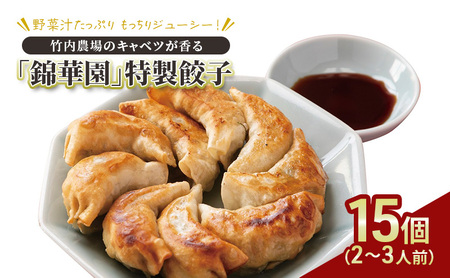 手作り冷凍餃子 15個入×1袋 2～3人前 餃子