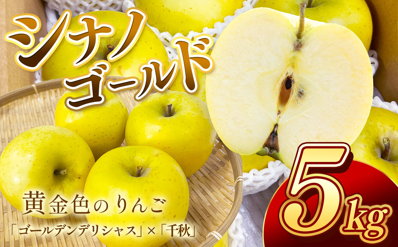 
            南信州産 りんご シナノゴールド 約5kg 【2025年10月より発送】 | りんご リンゴ 林檎 シナノゴールド 果物 くだもの フルーツ 新鮮 長野県 信州 南信州 飯田
          