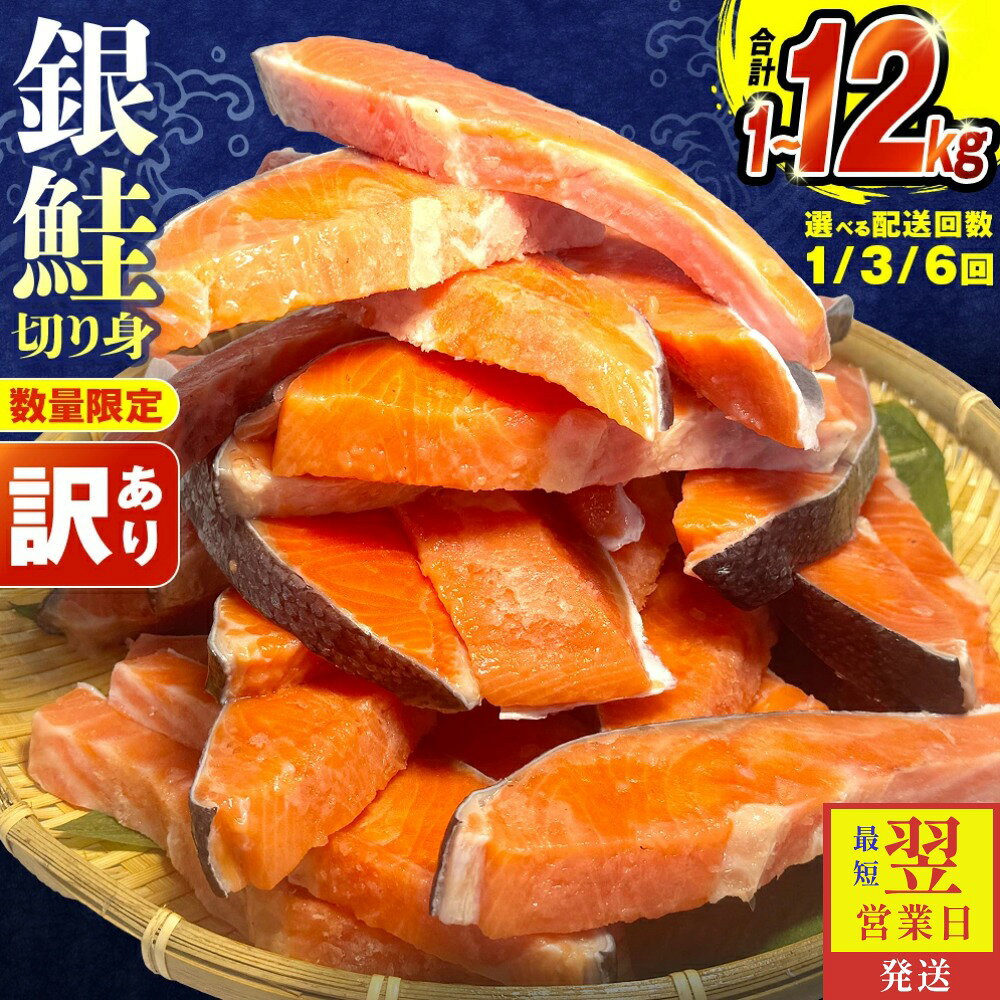 【ふるさと納税】訳あり 銀鮭 切り身《配送回数 / 内容量が選べる》 1kg 2kg 3kg 配送回数1-6回 定期便 毎月発送 定期 宮城東洋 規格外 不揃い 冷凍 鮭 さけ サケ 切身 切り身 鮭切身 塩鮭 家庭用 訳アリ サーモン 魚 海鮮 お弁当 おかず 惣菜 石巻