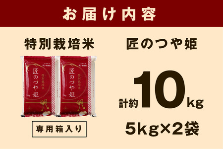 【令和7年産】特別栽培米「匠のつや姫」5kg×2袋 米 お米 つや姫 つやひめ 10キロ 2袋 お取り寄せ 人気 特A 【058_1861】