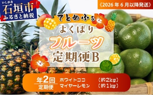 《2026年6月以降発送》マツコの知らない世界で紹介！幻のホワイトココ＆青切りマイヤーレモンの定期便　年２回に分けてお送りします