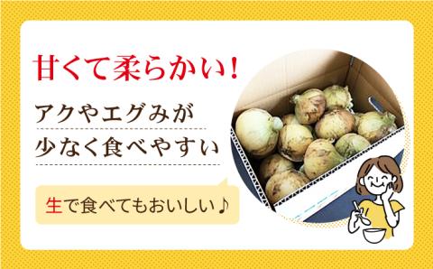 【毎日のお料理に】江北町産 たまねぎ 約10kg【百武青果】 [HAE017]