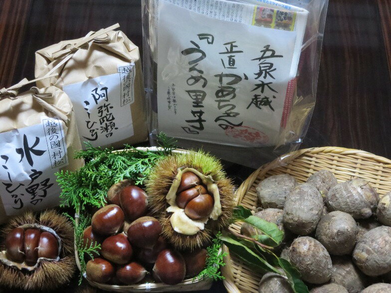 ★【ふるさと納税】 ブレンドしない地域限定米と村松名人栗の旬のおいしさセット 新潟県 五泉市 越後の國村松かあちゃん本舗