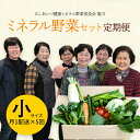 【ふるさと納税】《定期便》西会津ミネラル野菜セット(小)＜月1回配送×5ヶ月連続＞ 朝採れ 野菜 セット 詰合せ 契約農家 朝採り 採れたて 新鮮 定期便 5回 5ヶ月 連続 食品 F4D-0128