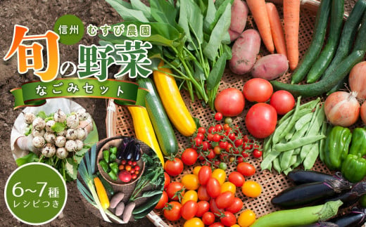 信州・むすび野菜 なごみセット | 無農薬 農薬不使用 野菜セット おまかせ 長野県 松本市 信州産 むすび農園 植物性肥料のみで栽培した旬の野菜（６~７種） ふるさと納税