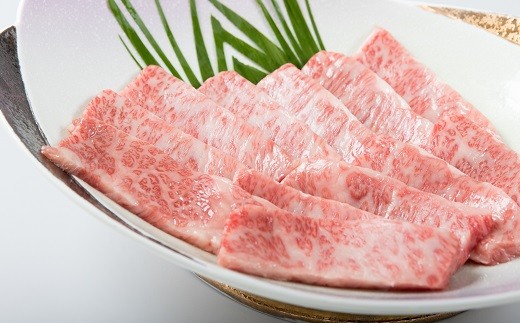 松浦食肉組合厳選A4ランク以上　極上！長崎和牛肩ロース焼肉用500g【C5-004】 A4ランク 和牛 長崎和牛 霜降 赤身 ジューシー 焼き肉 肩ロース