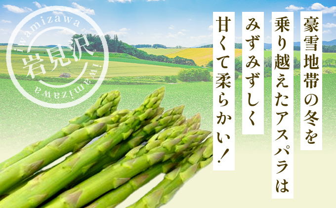 北海道岩見沢産グリーンアスパラ Lサイズ1kg【a142-001】