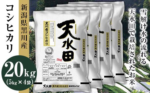 27-201D新潟県黒川産コシヒカリ20kg（5kg×4袋）【天水田】