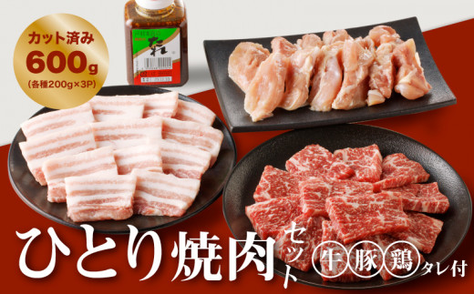 
宮崎県産焼肉３種セット【タレ付き】（牛・豚・鶏） 計６００ｇ カット済み K16_0079_1
