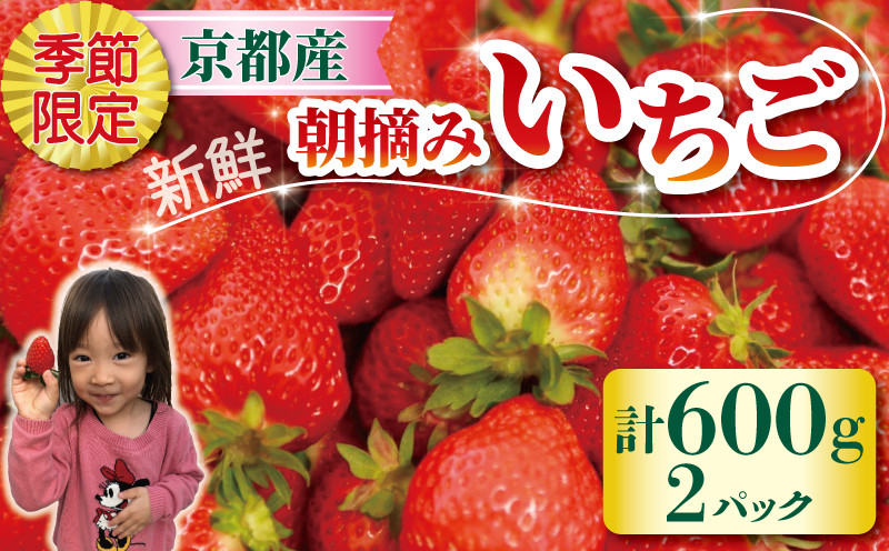 
            期間限定 いちご2種詰め合わせ（20～30粒） いちご 500～600g 紅ほっぺ 章姫 2種 ミックス 1箱 苺 イチゴ 詰め合わせ セット品 久御山町 京都
          