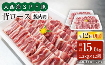 【訳あり】【月1回約1.3kg×12回定期便】大西海SPF豚 背ロース（焼肉用）計15.6kg＜大西海ファーム＞ [CEK128]