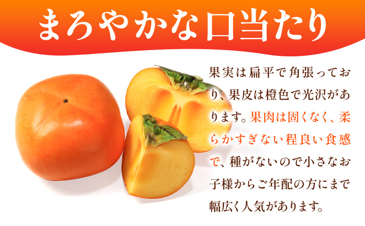 ＜10月より発送＞たねなし柿 約7.5kg 刀根早生 平核無柿 ひらたねなしかき 池田鹿蔵農園《10月上旬-12月上旬頃出荷》 和歌山県 日高町 柿 カキ かき たねなし ジューシー フルーツ 種無柿