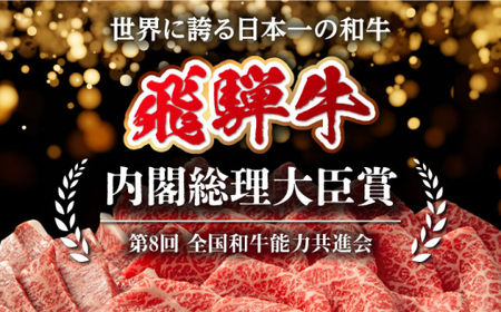 飛騨牛 ステーキ用計500g 白川町 / 浅井商店[AWBJ007] 飛騨牛