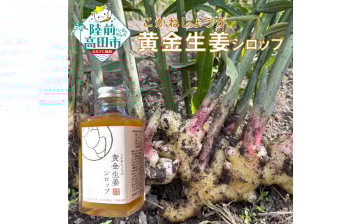 【黄金生姜使用】 黄金生姜シロップ 200ml×2本 【 数量限定 ショウガ シロップ 調味料 濃厚 おためし 陸前高田市産 Farm Koganeyama 】 RT2750