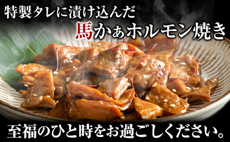 馬ホルモン焼 10個セット 10人前 (100g×10個) 千興ファーム 《60日以内に出荷予定(土日祝除く)》 熊本県 御船町 ホルモン ホルモン焼き 馬ホルモン 馬 馬肉 タレ たれ 個包装 おつ