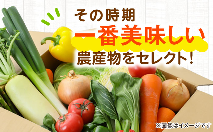 【全12回定期便】旬を味わう新鮮野菜と果物の詰め合わせセレクションボックス（6種以上）