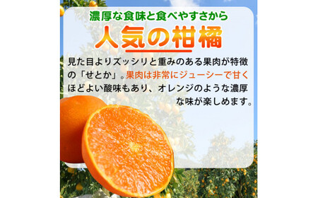 とろける食感 ジューシー柑橘 せとか 約2.5kg みかん 蜜柑 柑橘 オレンジ 果物 フルーツ 国産 和歌山県広川町 ※2025年2月上旬頃～2月下旬頃に順次発送予定【uot789】