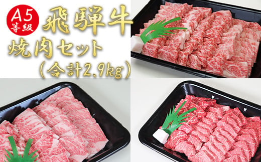 
A5飛騨牛焼き肉セット（合計2.9kg）
